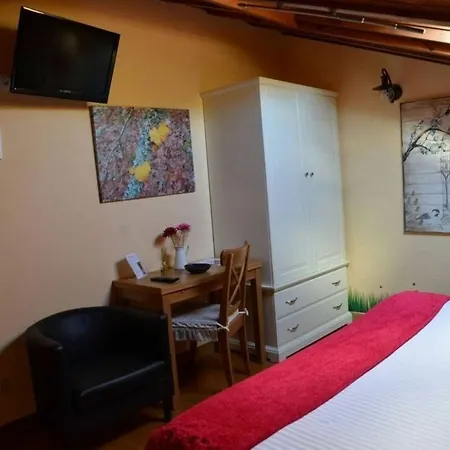 Bernabales Паманес