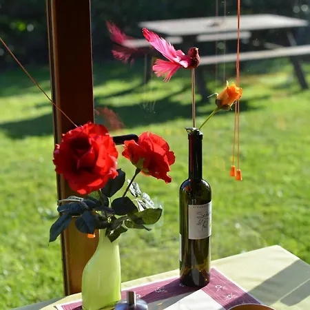 Bernabales Паманес