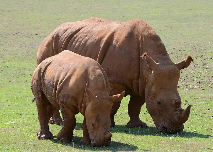 Bernabales 4* Pámanes